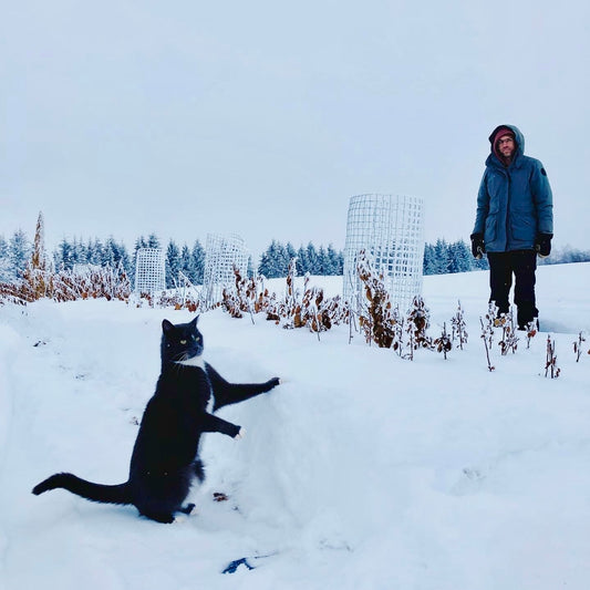 Winterizing Young Fruit Trees and Shrubs for the Canadian Winter