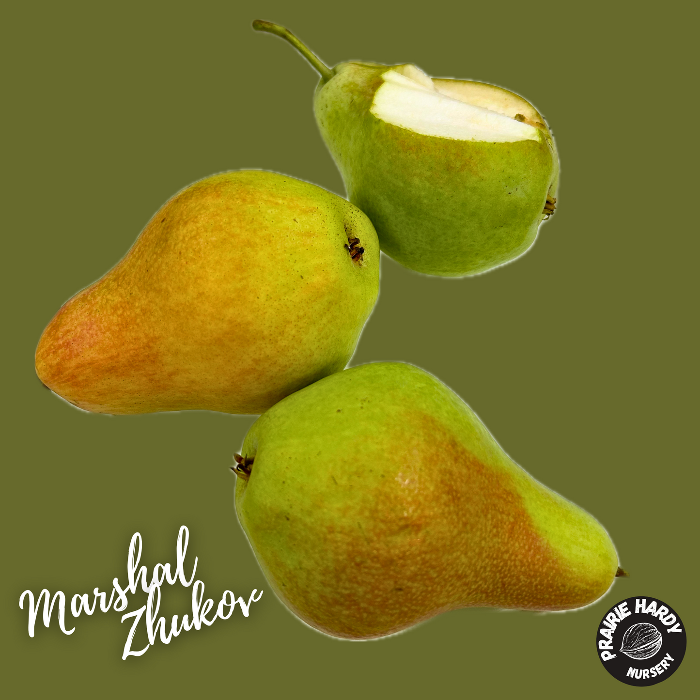 Marshal Zhukov Pear